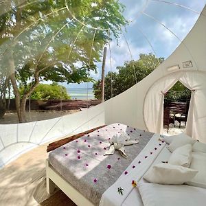 Panorama Suite